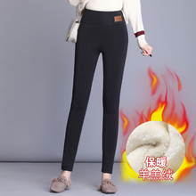 【严寒克星】加绒加厚外穿打底裤550g