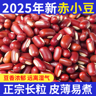 2025年新赤小豆新货农家自种打豆浆专用红豆五谷杂粮煲粥炖汤
