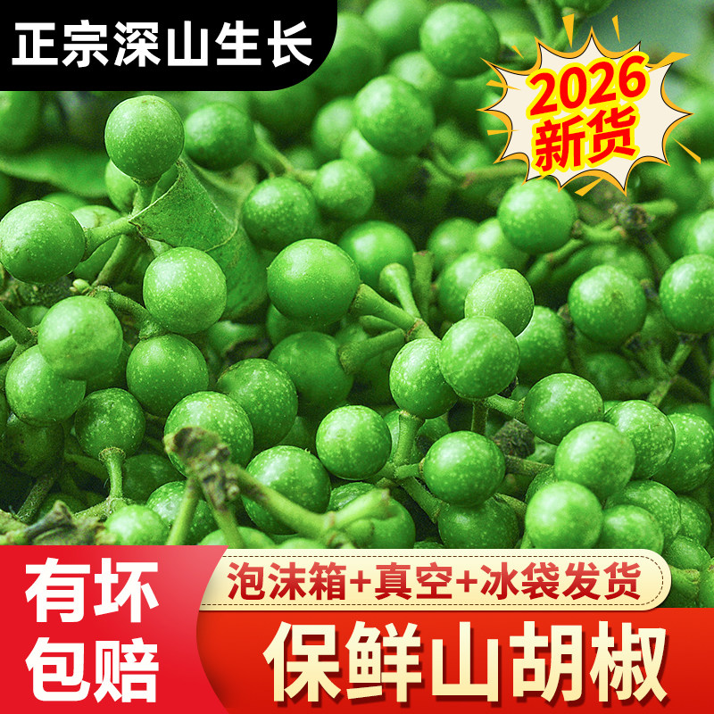 2026山胡椒新鲜现采保鲜木江子做山胡椒辣椒酱四川特产木姜子食用图片