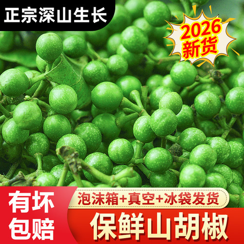 2026山胡椒新鲜现采保鲜木江子做山胡椒辣椒酱四川特产木姜子食用
