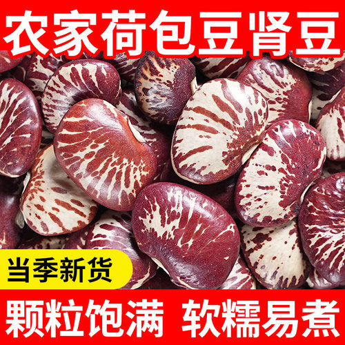 荷包豆5斤新货肾豆农家自种大肾豆五谷杂粮雀豆豆类花芸豆斑马豆