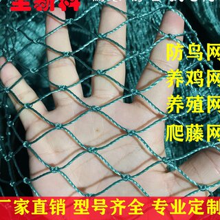 加粗防鸟网养鸡网鱼塘果树果园天网樱桃防鸟用网尼龙网大棚防护网