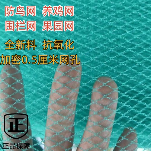 全新料养鸡网加粗0.5公分网孔