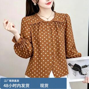 洋气波点雪防衫衬衫女短款时尚减龄小衫春秋配阔腿裤上衣2026新款
