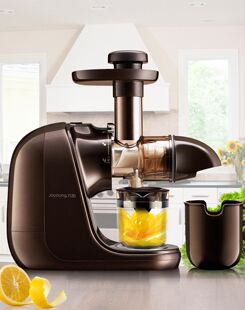 E16家用原汁机低速多功能榨汁机可绞肉榨汁正品 Joyoung 九阳JYZ