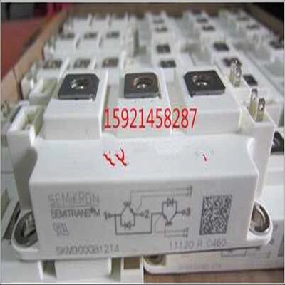 议价SKM300GB12T4 SKM150GB12T4 SKM200GB12T4（当前电子）