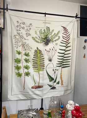 个性艺术家美国Cavallini复古风美式蕨类植物装饰布置背景布挂布
