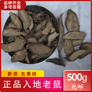 入地老鼠 紫茉莉根胭脂根广西玉林市品种齐全中药材市场干货 热卖
