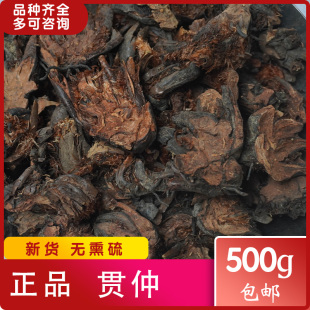 贯仲 贯众贯节绵麻惯众中药材贯渠 百头 虎卷黑狗脊 500克包邮