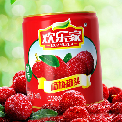 桔子饮料水果果汁杨梅罐头欢乐家