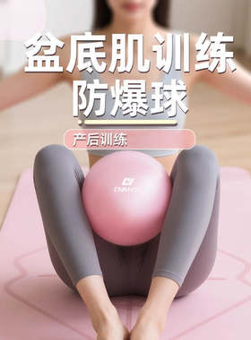 瑜伽球成人专用孕妇盆底肌女健身俞珈防爆普拉提小球20cm瑜伽器材