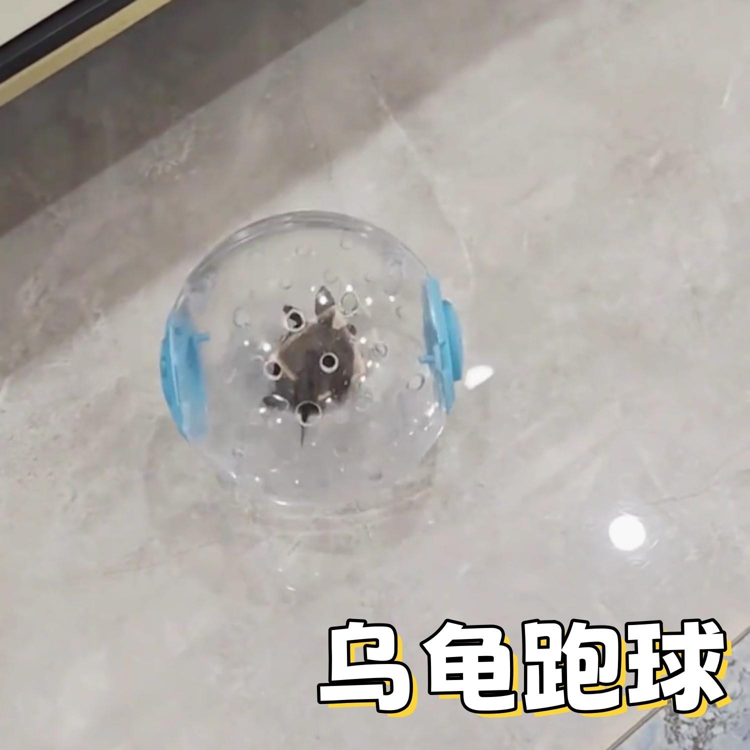 乌龟专用玩具仓鼠跑球跑轮滚轮运动球支架松鼠用品遛鼠跑步球滚球