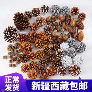 ￥新疆包邮西藏松果装饰松塔橡果干花手工diy森林幼儿园环创干树