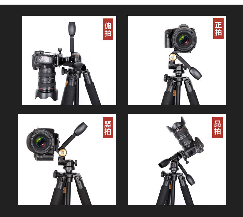 가벼운 Q620 SLR 삼각대 사진 및 비디오 지원 3차원 팬틸트 대구경 카메라 삼각대