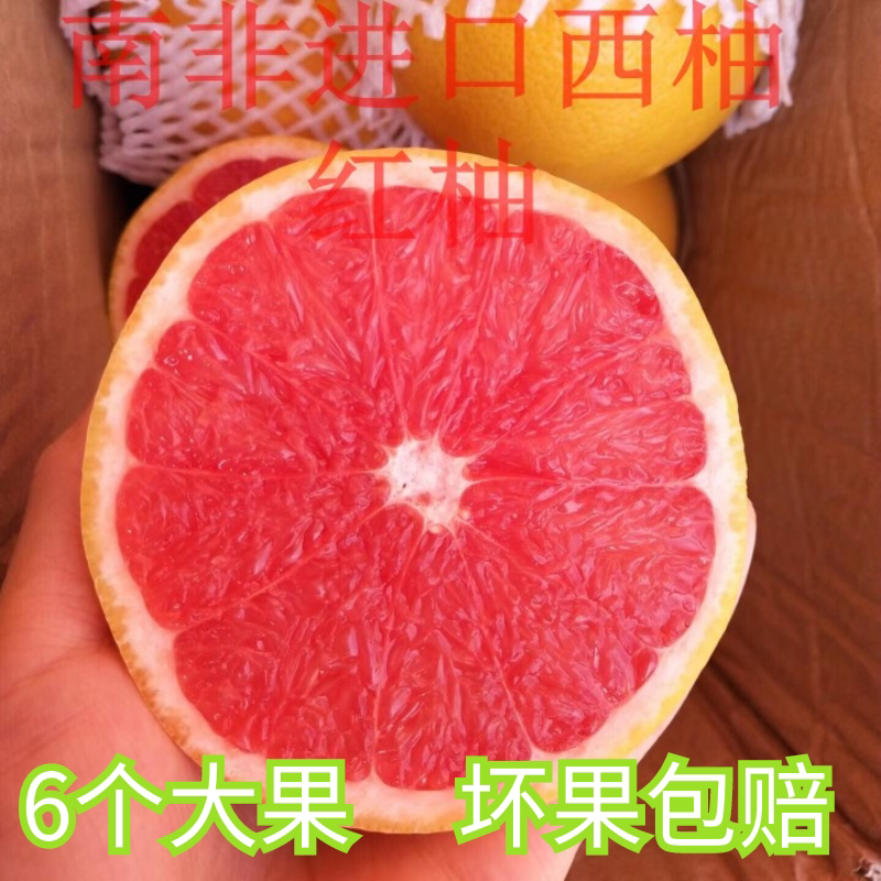 进口红肉西柚包邮新鲜南非进口6西柚