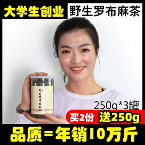 买二送250g 新疆罗布麻茶罗布泊野生新芽新采茶西域特产产地直发