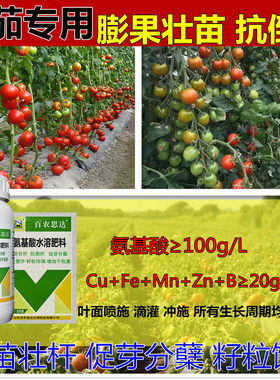 西红柿番茄专用叶面肥促花保果生根壮苗抗倒伏含氨基酸水溶肥增产