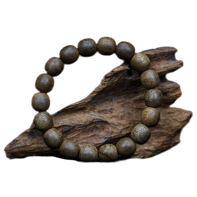 名木香府沉香越南广平老料沉香