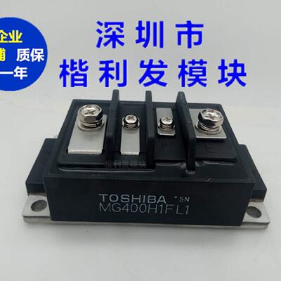 MG300H1FL1MG300N1FK2MG400H1FL1