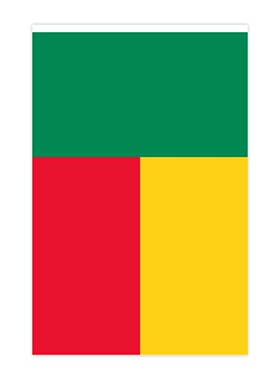 厂家直销贝宁串旗装饰用品旗帜世界各国迷你小挂旗14x21cm现货