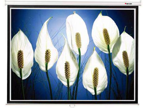 红金叶 4:3 84英寸金属手动式自锁投影幕布