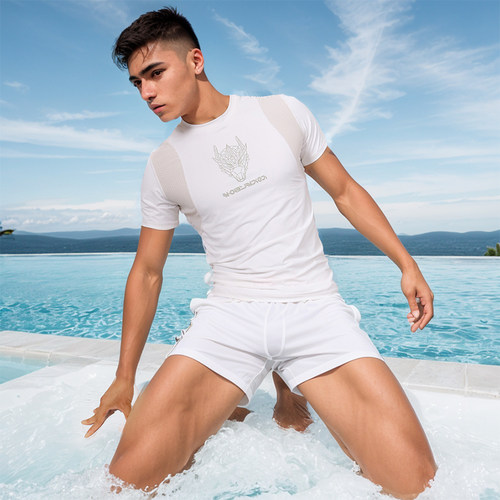 飞鱼未来男士泳衣套装时尚速干短袖五分裤水上乐园沙滩裤游泳装备 - 封面