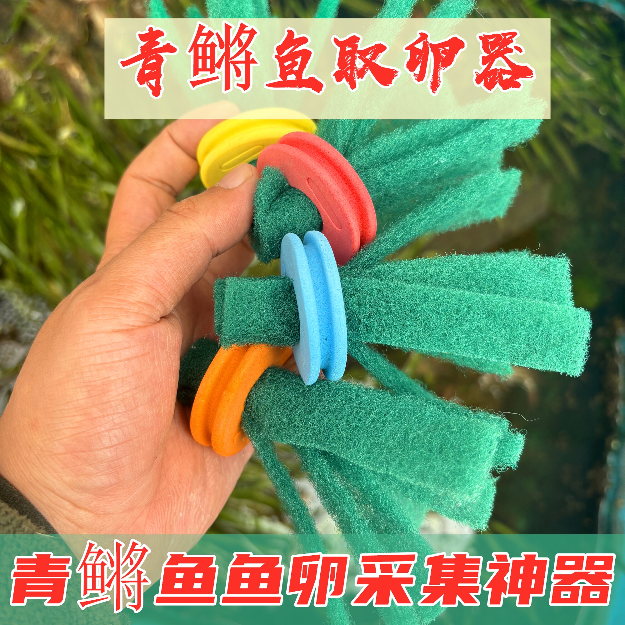 观背青鳉鱼卵采集器青鳉鱼卵收集器收卵器漂浮挂卵神器