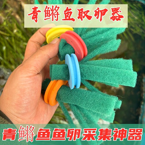 观背青鳉鱼卵收卵器漂浮挂卵神器