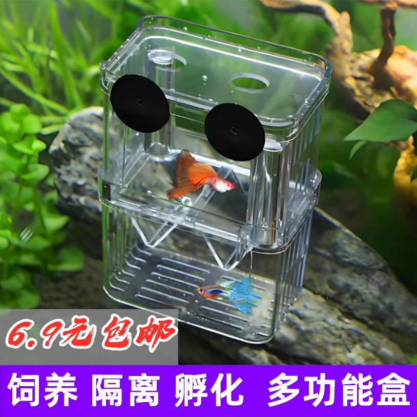 孔雀鱼玛丽球小鱼繁殖盒鱼缸亚克力隔离盒产卵孵化产房小鱼苗幼鱼
