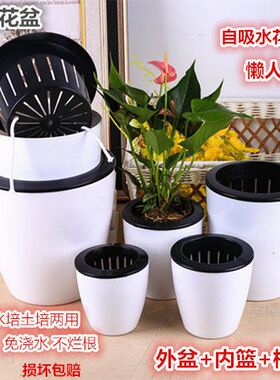 塑料自动吸水环保型储水盆水培懒人花盆绿萝盆创意吸水盆绿植花盆