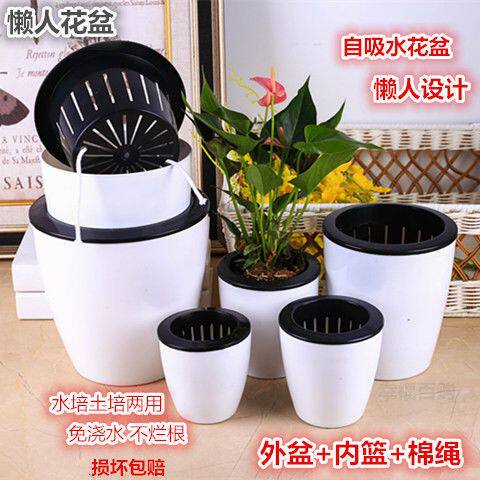 塑料自动吸水环保型储水盆水培懒人花盆绿萝盆创意吸水盆绿植花盆