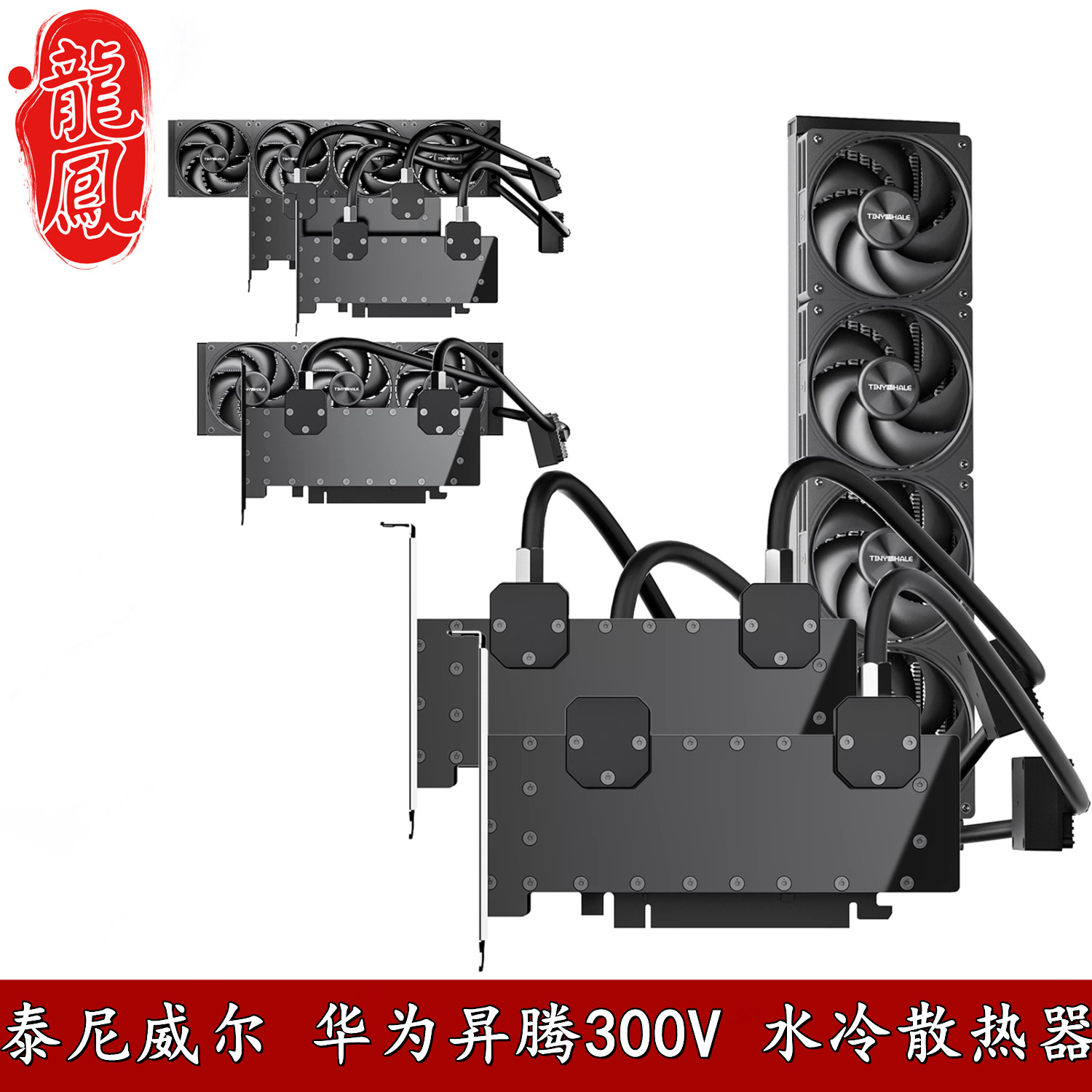 泰尼威尔昇腾Atlas300V24G显卡