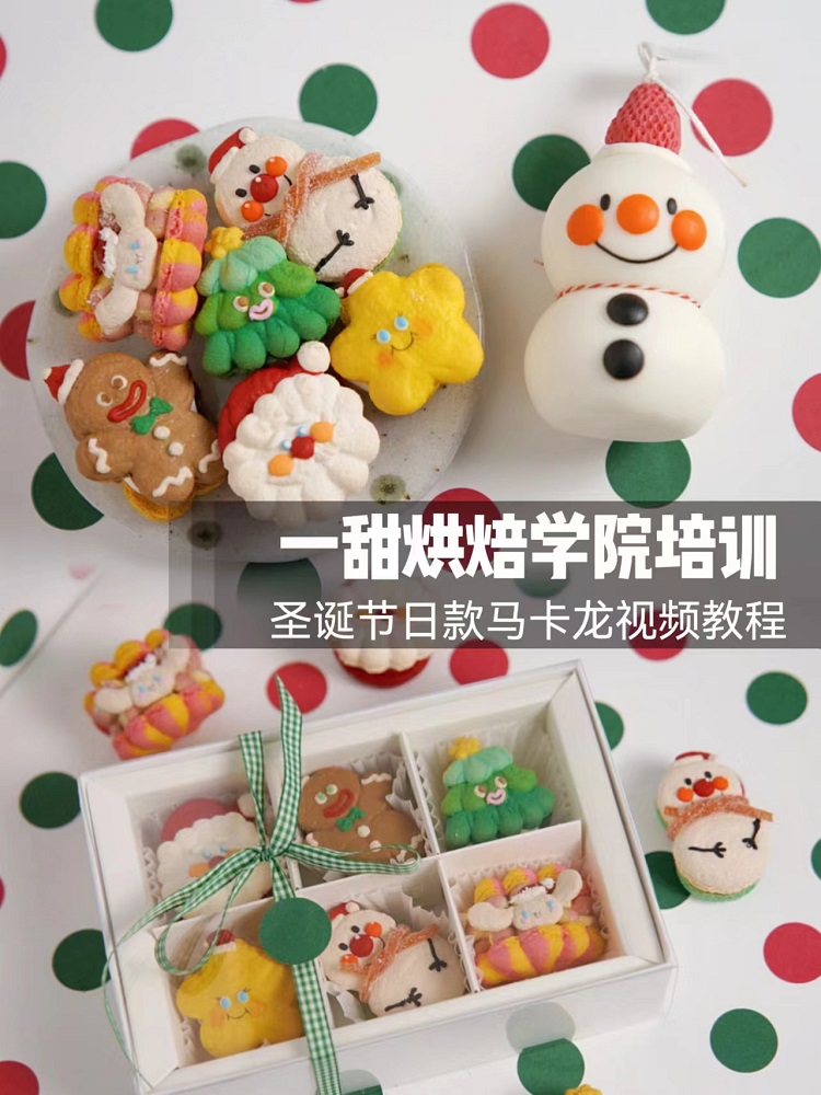 热销圣诞异形马卡龙技术配方制作教程烘焙饼干小吃技术培训视频