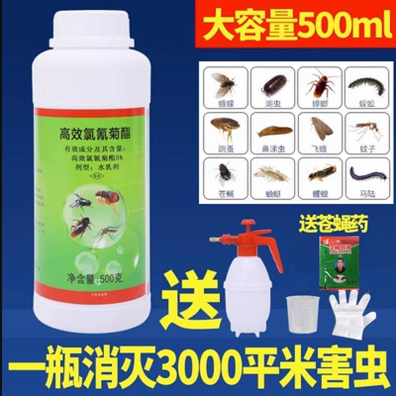 大面积灭杀蚊子室内外农驱除跳蚤蚂蚁蟑螂氯氰菊酯杀虫剂喷雾药水