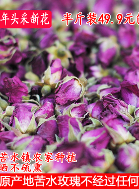 2025年正宗永登县苦水玫瑰晒干无硫熏甘肃兰州玫瑰花蕾花苞半斤装
