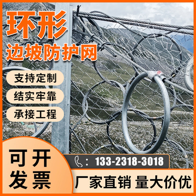 河北衡水环形主动被动边坡防护网