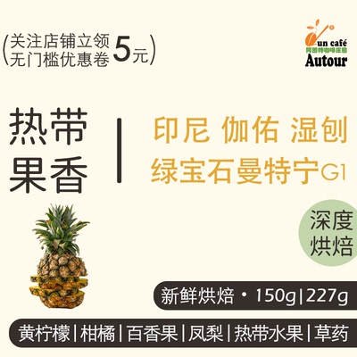【热带果香】印尼亚齐伽佑绿宝石曼特宁湿刨处理G1精品手冲咖啡豆