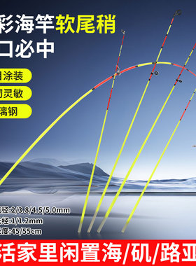 七彩竿稍醒目软稍海竿软尾小矶竿彩色竿尖抛竿甩杆尖一节28调改装