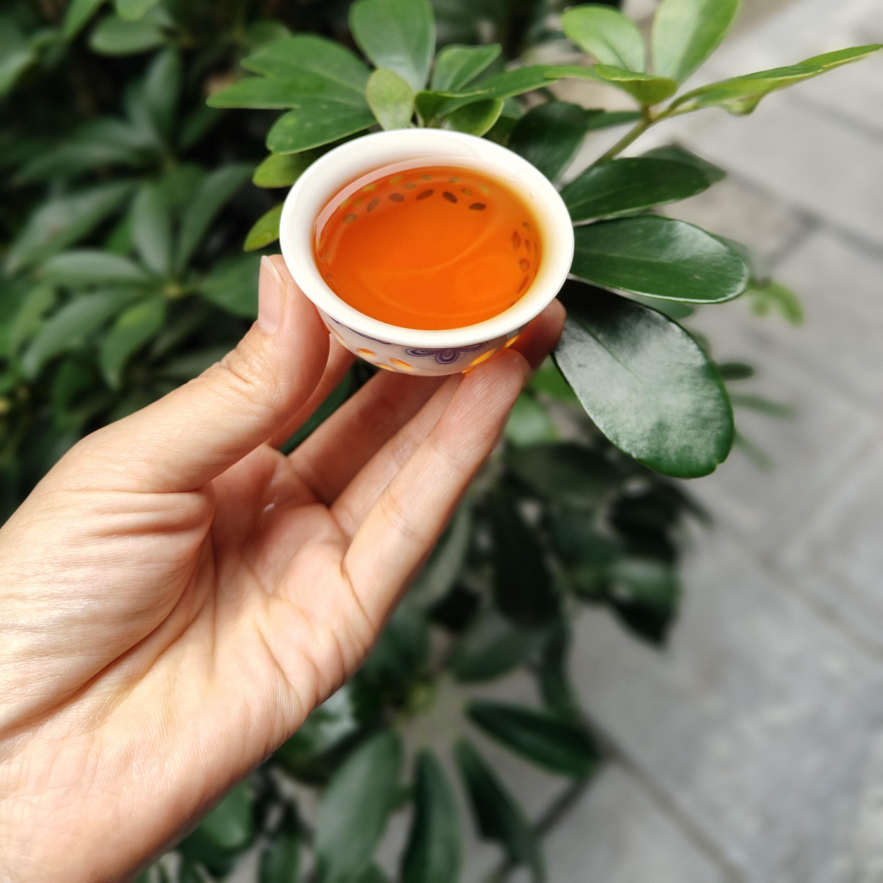 恩施富硒红茶2026新茶 利川红 芽尖一级香甜花香型家用送礼馈赠