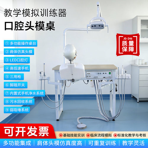 牙科口腔教学模型仿真头模桌牙医实训教学JG246模拟训练备牙模型