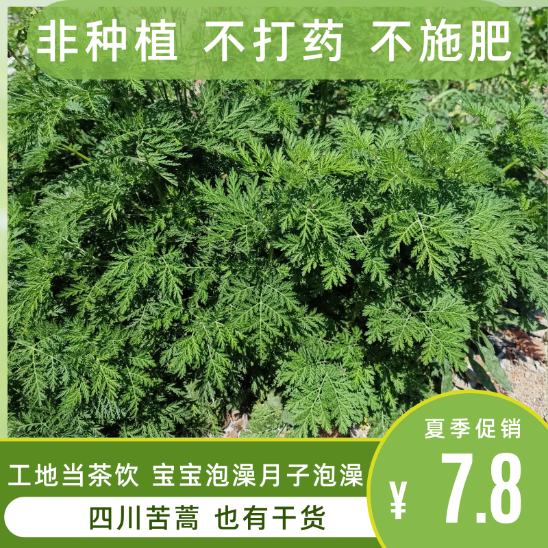 四川新鲜晒干青蒿黄花蒿 苦蒿小孩泡澡煮水泡茶清热下火现挖 选择