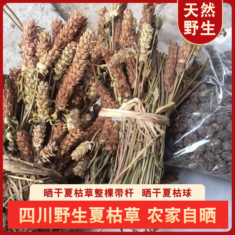 野生新鲜晒干夏枯草中药材农家现挖带根麦穗夏枯草凉茶原料500g
