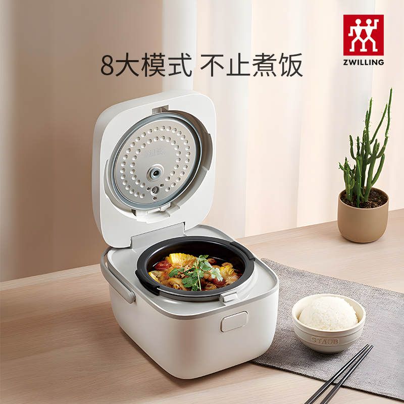 德国智能双立人电饭煲