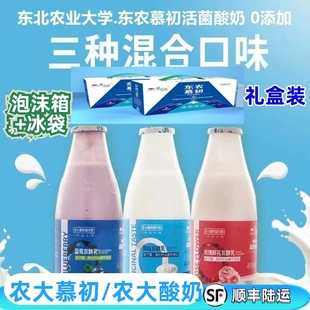 【农大慕初&农大酸奶】东北农大原味/蓝莓/玫瑰酸奶0添加发酵乳