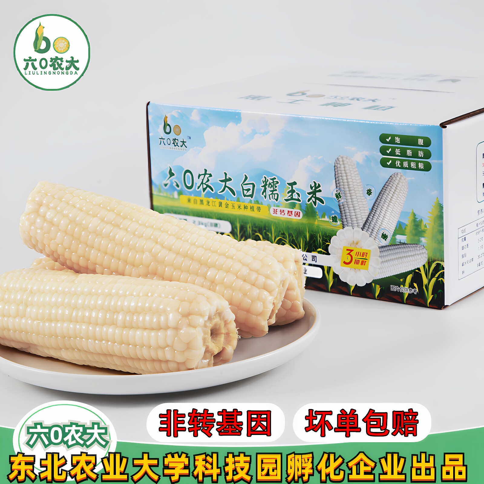 六0农大白糯玉米 东北鲜食玉米 低脂粗粮苞谷黏玉米粘玉米棒真空