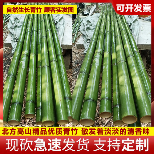 乾乾竹苑各种新鲜现砍竹子定制