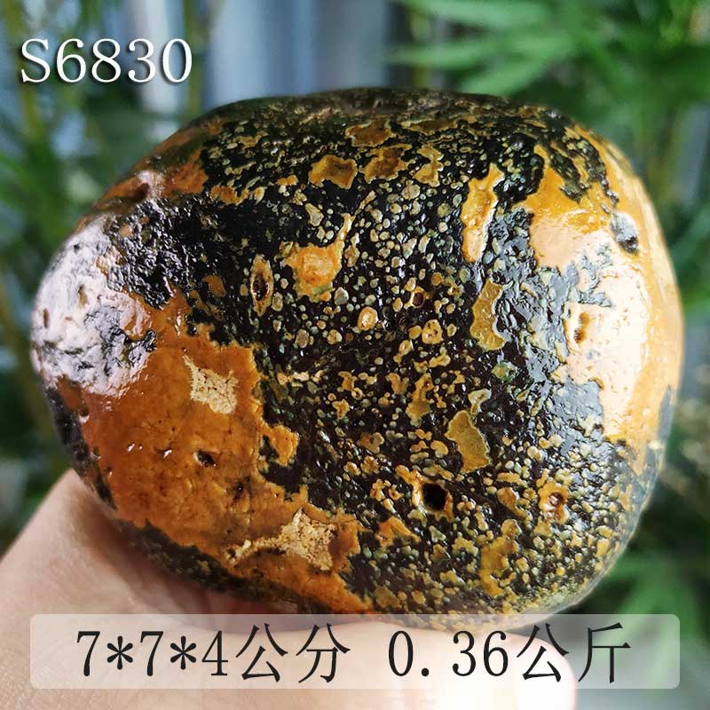 宝磬精美手玩石原石SNO1F6广西特产大湾石大化石彩陶石一件也包邮