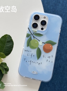 放空岛原创正版丨苦尽柑来丨mini角新材质双层imd手机壳磁吸蓝色绿色带拍照键17promax小众高级ins防摔