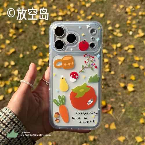 放空岛原创正版丨硕果丨mini角双层imd磁吸手机壳苹果iPhone16promax/17promax小众高级ins全包防摔包相机键