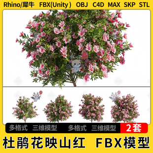 3Dmax模型STL FBXOBJ SU草图大师unity C4D杜鹃花映山红犀牛Rhino